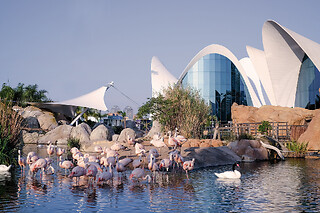 Especial Comunión: Oceanografic Valencia