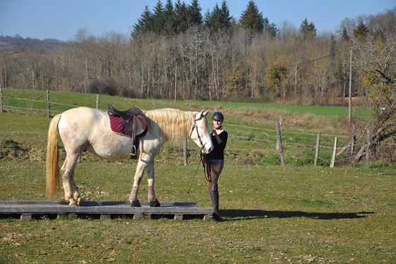 Farandole Equestre - photo 2
