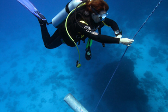 SCUBA PLUS - photo 12