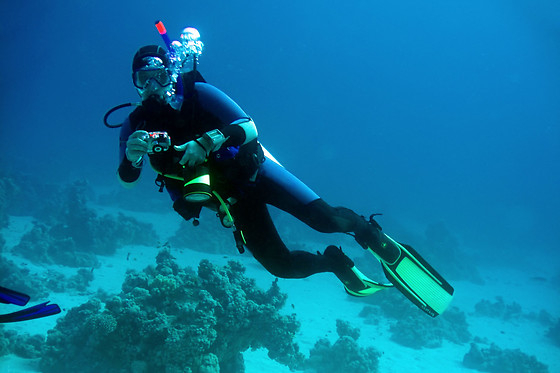 SCUBA PLUS - photo 0