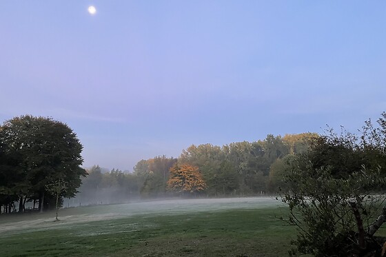 Aquakine - photo 2