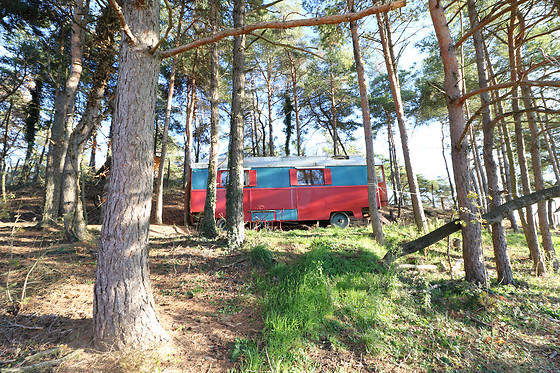 1001 Cornes - photo 4