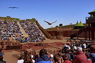 Especial Comunión: Puy du Fou España - 2 Adultos y 1 Niño