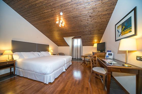 HOTEL & SPA REAL BADAGUAS-JACA - photo 3