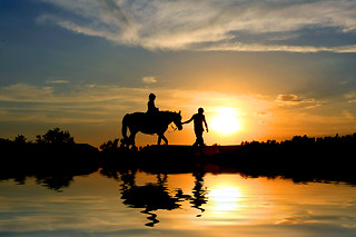 Ruta a caballo por la dehesa extremeña en Cáceres