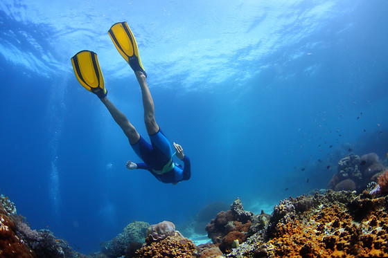 Lecques aquanaut center - photo 0