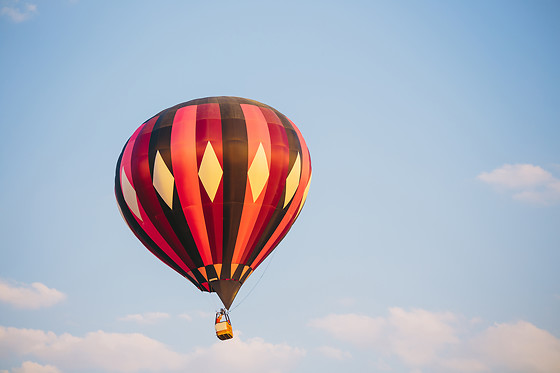GLOBOS BOREAL - photo 1