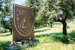 LA DEHESA EXPERIENCES