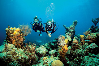 Bautismo de buceo en Tossa de Mar (Girona)