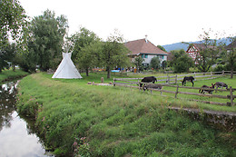 Eselhof Säge