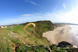 PARAPENTALIA