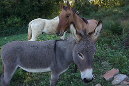 Agriturismo Regno di Toscana