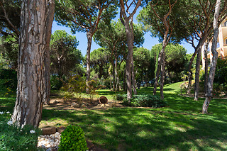 Tui Blue Isla Cristina Palace & SPA***** en Isla Cristina (Huelva)