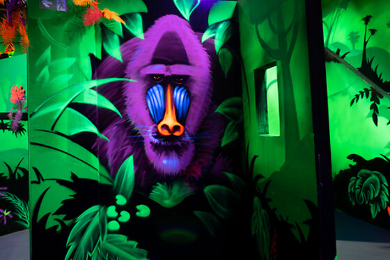 Laser World O’Parinor – Aulnay-sous-Bois - photo 0