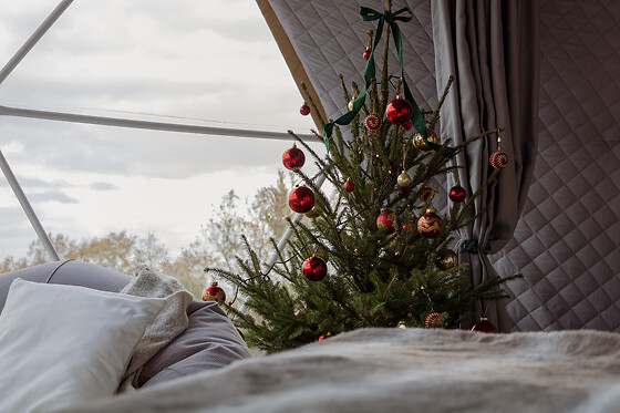 Aura Glamping - photo 12
