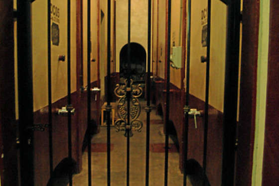 BODEGA SILVANO GARCIA - photo 1