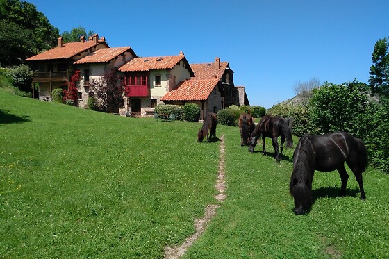 ALOJAMIENTO RURAL LA MONTAÑA MAGICA - photo 17