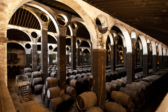 BODEGAS BARBADILLO - photo 3