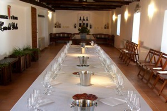 BODEGAS Y VIÑEDOS CASA DEL VALLE - photo 0