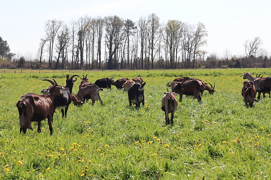 Ty Givri - photo 7
