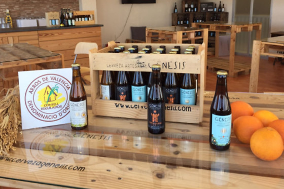 Cerveza Génesis en Fávara (Valencia)