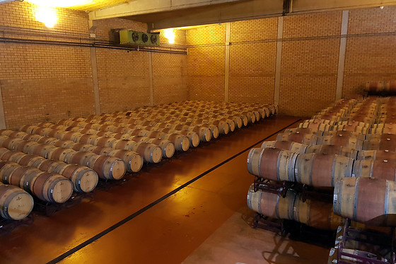 BODEGA PIRINEOS - photo 7