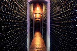 BODEGA PIRINEOS