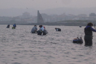 Turismo marinero Guimatur en Cambados (Pontevedra)