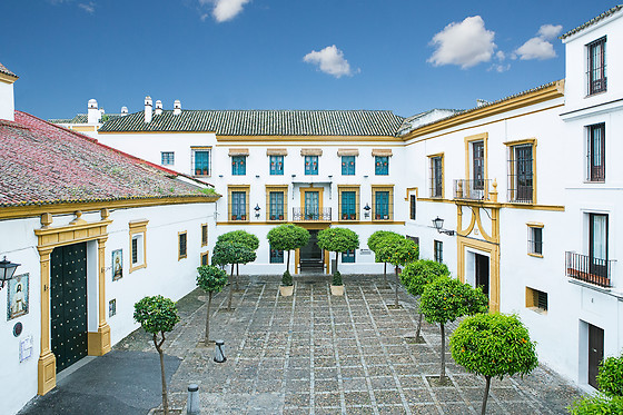 Un tratamiento facial para 1 en Hotel Hospes Las Casas del Rey de Baeza en Sevilla
