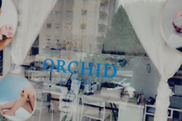 Orchid Beauty