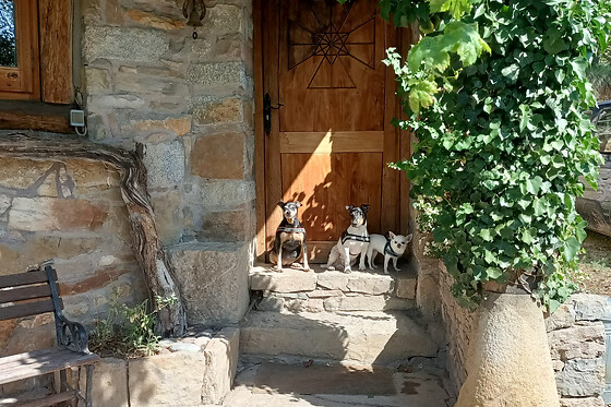 Una noche para 4 en Cal Serrat en Boixols (Lleida)