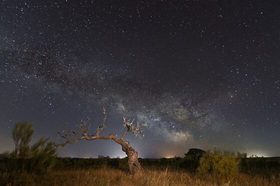 Una ruta privada hacia las Estrellas para 2 en Astrogata en Robledillo de Gata (Cáceres)