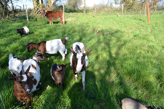 Domaine des Vaulx - photo 24