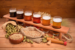 CERVEZA MENDUIÑA