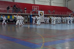 IPPON KARATE PORTUGAL