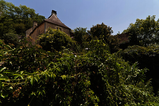 Sur le chemin des sens - photo 10