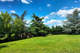 Le jardin des oiseaux