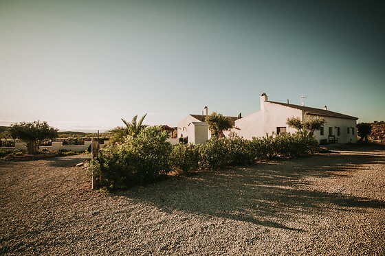 FINCA EL POCICO - photo 33