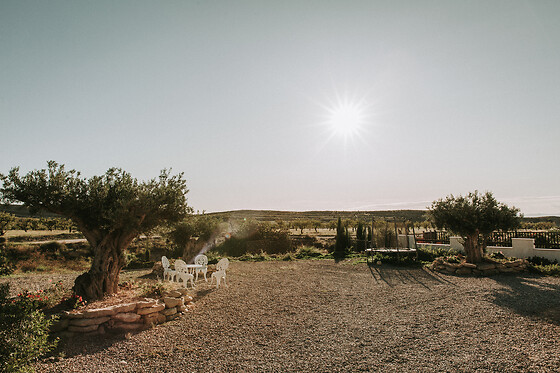 FINCA EL POCICO - photo 54