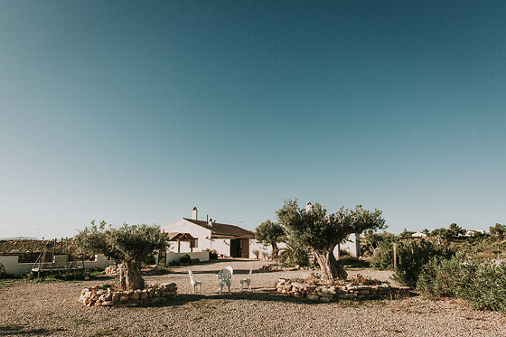 FINCA EL POCICO - photo 34