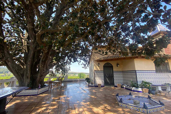 CASA MAGNOLIA ALQUERIA - photo 3