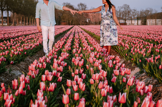 3 días de amor en Amsterdam