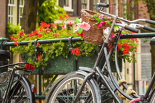3 días de amor en Amsterdam