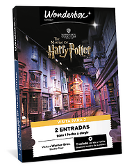 Harry Potter Studio