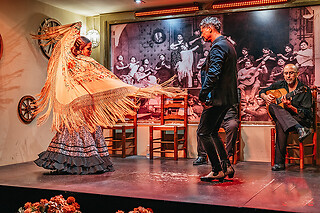 Un show flamenco con cocktail para 1 en Tablao Flamenco La Cantaora en Sevilla