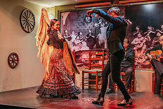 Un show flamenco con cocktail para 1 en Tablao Flamenco La Cantaora en Sevilla