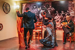 Un show flamenco con cocktail para 1 en Tablao Flamenco La Cantaora en Sevilla