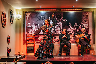 Un show flamenco con cocktail para 1 en Tablao Flamenco La Cantaora en Sevilla