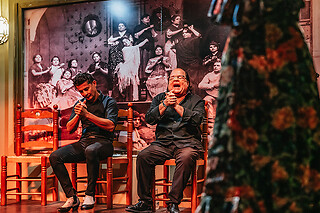 Un show flamenco con cocktail para 1 en Tablao Flamenco La Cantaora en Sevilla
