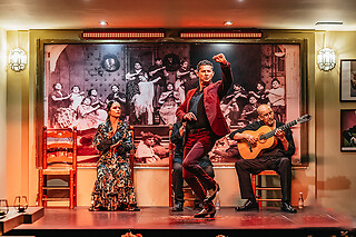 Un show flamenco con cocktail para 1 en Tablao Flamenco La Cantaora en Sevilla